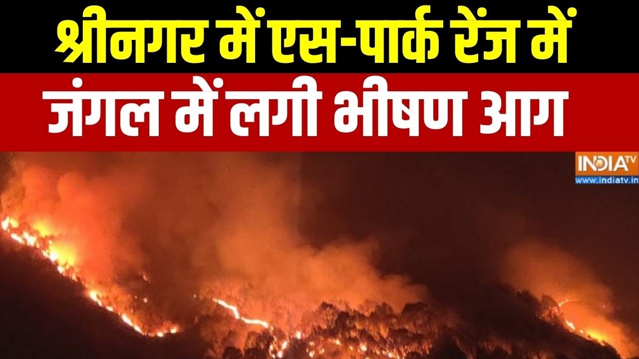 Jaago India: श्रीनगर में एस-पार्क रेंज में जंगल में लगी भीषण आ