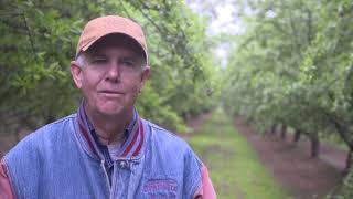 Ceres Imaging: Turning Data Driven Insights in Action for Agriculture