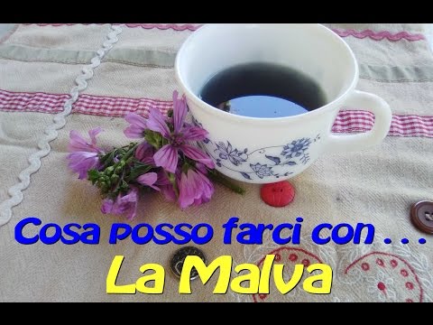 Leffetto del testosterone enantato potenza Come aumentare la potenza dopo 50