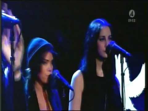 Live:Turtleduvs - Duvchi