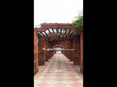 Explore the Enchanting Mughal Gardens of Delhi - A Blend of History and Nature