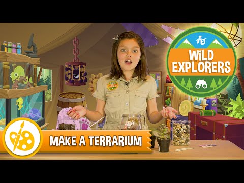 Wild Explorers - Make A Terrarium