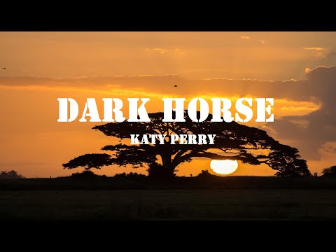 dark horse