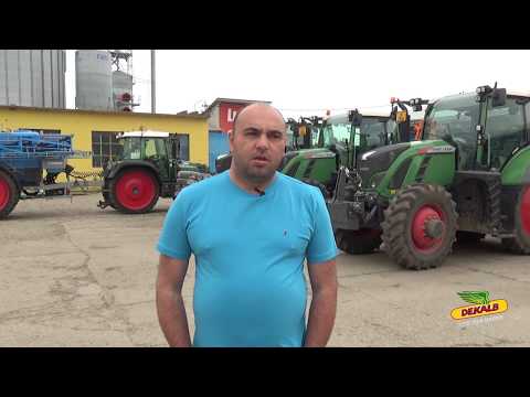 Protectia DEKALB - Lumi Agro SRL