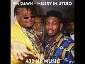 PM Dawn - Misery In Utero "432HZ"