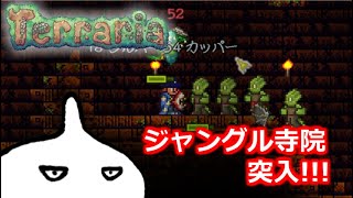 【Terraria】新たなボスと、強化されたダンジョン探索【＃ホワイト企業テラリア】
