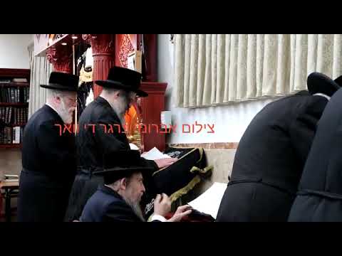 R' Chaim Meir Hager of Viznitz Counting Sefira - Iyar 5782