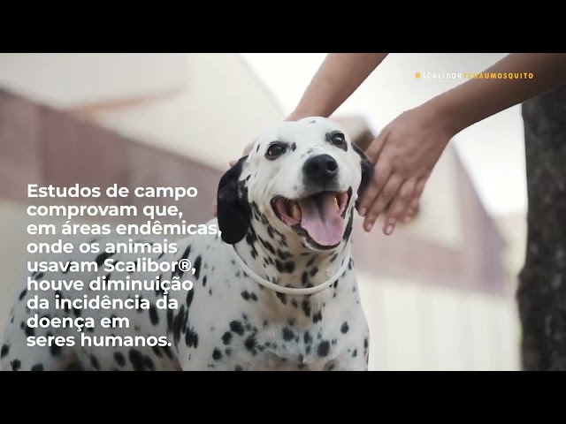 video apresentando a marca Scalibor