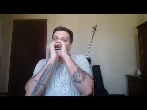 O pulo da Gaita - O Auto da Compadecida (adaptada para Gaita Diatonica c/ Tablatura)