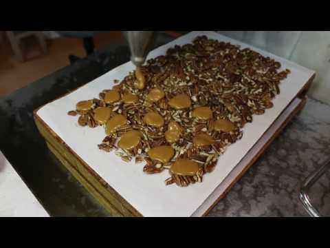 download lagu mp3 mp4 Do Turtles Have Peanuts, download lagu Do Turtles Have Peanuts gratis, unduh video klip Do Turtles Have Peanuts