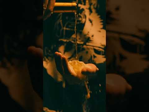 Tussin x Verty - C&A #shorts