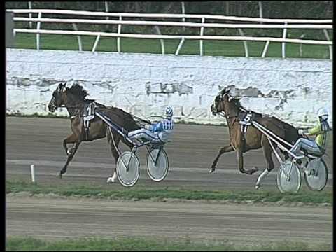 Trotto 19/02/2016 - 4° corsa