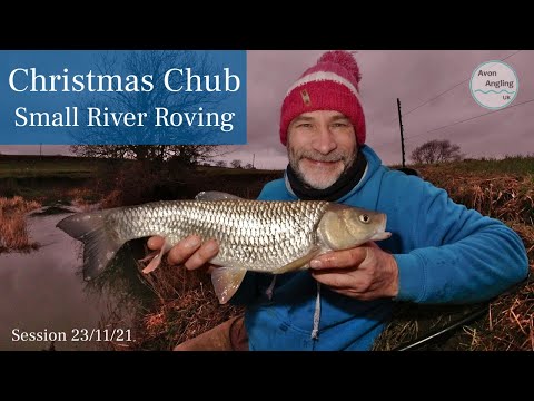 Christmas Small River Chub Fishing - Fantastic Roving Session - 23/12/21 (Video 288)