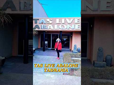 Thumbnail for Tas Live Abalone !#tasmania #explore #travel #niceview #cruise #hobart #australia ❤️❤️❤️