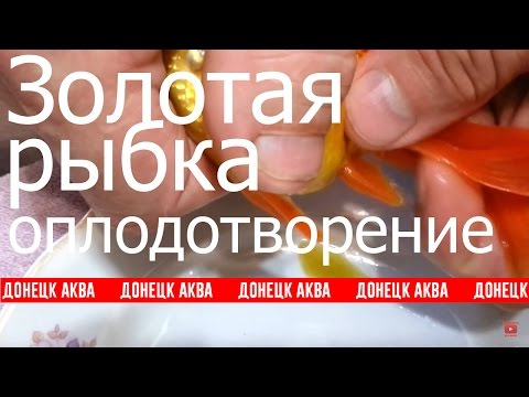 Naturalnych środków dla męskiej potencji Najlepsze suplementy diety na zwiększenie potencji