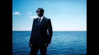 Akon Feat.Salaam Remi - One In the Chamber 2013
