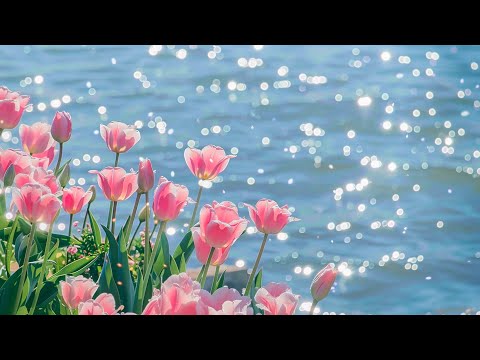 Beautiful Relaxing Peaceful Music🌺Healing Music For The Heart And Blood Vessels