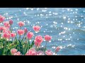 Beautiful Relaxing Peaceful Music Healing Music For The Heart And Blood Vessels
