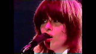 The Pretenders   Birds Of Paradise  480 X 640