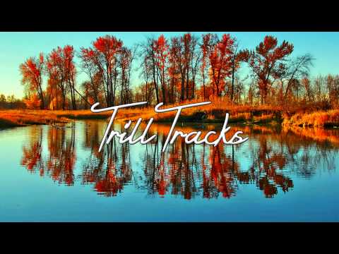 Rob Stone Ft. Starving Youth - Disco Fever