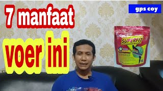 Download lagu 7 benefits of superfit feed for beginner magpie robins, you should know this mp3 Download lagu 7 benefits of superfit feed for beginner magpie robins, you should know this mp3