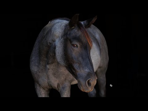 youtube preview