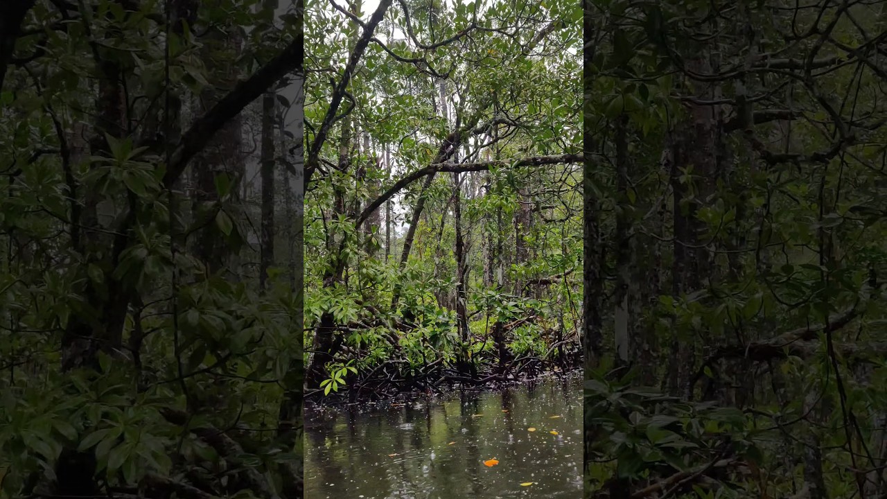 YouTube Short thumbnail