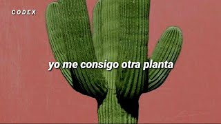 La Planta - Caos (Letra)🌵