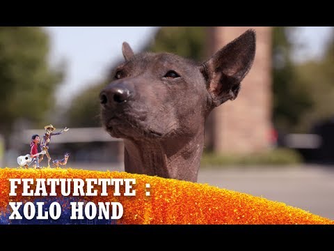 Coco | Een Xolo Hond op Bezoek bij Pixar | Disney BE