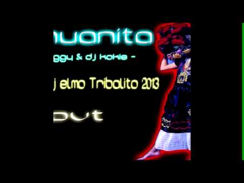 DJ Shaggy & DJ Kokis - Tehuanita (Remix Tribalito) DJ Elmo 2013