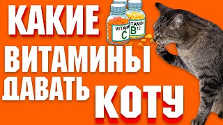 Какие витамины нужны коту? | Когда давать витамины кошке? | Авитаминоз у котов и кошек