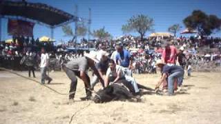 preview picture of video 'IMPACTO: Torero se cae en Corrida de Toros en Coeneo'