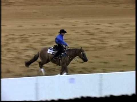 Congress Reining Futurity 1st go - Score 223.5!