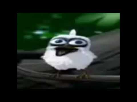 White bird screaming but it's a loud air raid siren