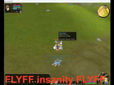 insanity flyff game play