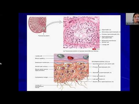MOR112-B 02-08-21 ANATOMIA Y FISIOLOGIA