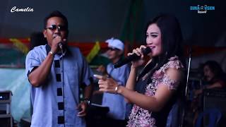 Download lagu MEMORI BERKASIH - RIA ANDIKA FT. MARLEN - CAMELIA GRONGGONG 24 JANUARI 2018 mp3