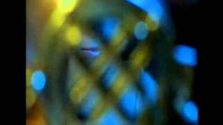 Laura Veirs   Galaxies