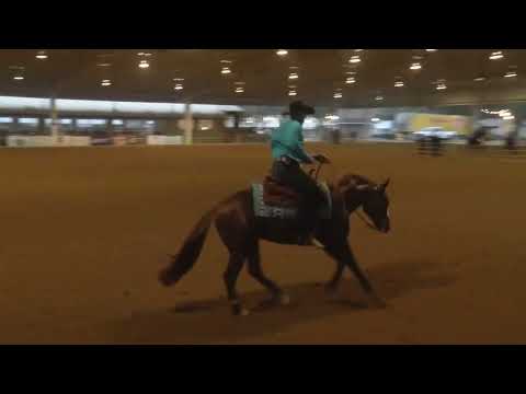 220206 Open Matt Goodman on Gunnaoutsmartyou