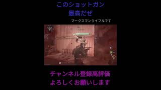 このショットガン最高だぜ