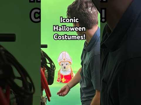 Nous avons transformé certains des moments les plus viraux de 2025 en costumes d'halloween pour animaux de compagnie ! 🤣✨