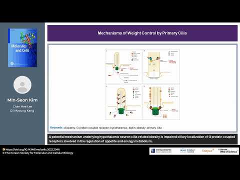 Mechanisms of Weight Control by Primary Cilia