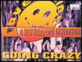 Rave Nation - Going Crazy