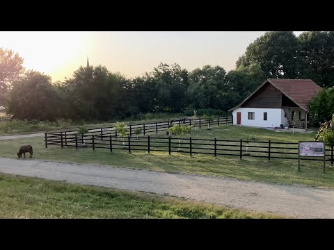 Entdecken Sie wunderschöne und einzigartige Orte in der Stadt Pecica, Arad, Rumänien