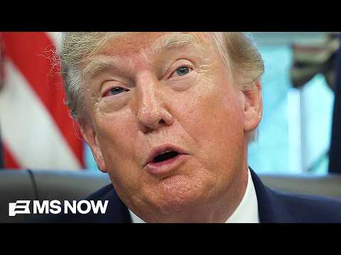 Trump’s tariffs 'hitting us harder than ANY OTHER STATE,' says Michigan Democrat
