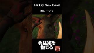 猪なでなで