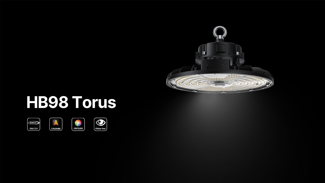HB98 Torus High Bay Light