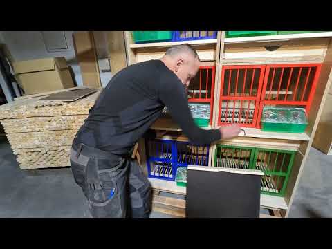 Breeding boxes with colorful fronts for Marek from Jelenia Góra – a real eye-catcher!