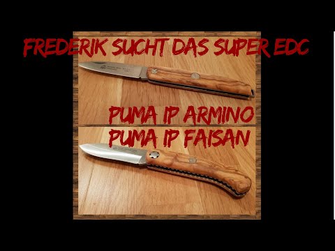 FSDSEDC #2 - Puma IP Armiño - Puma IP Faisan