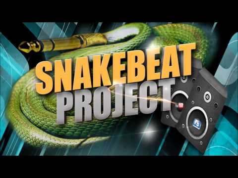 Snakebeat Project Hands Up Mix # 40 mixed by T-Tunez